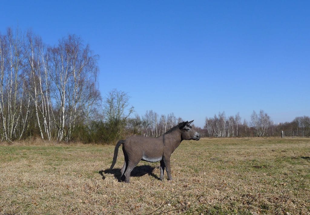 Wolfgang Herbst: 3D-Tiere für Bogensport, Dekoration, Werbung - tier.art