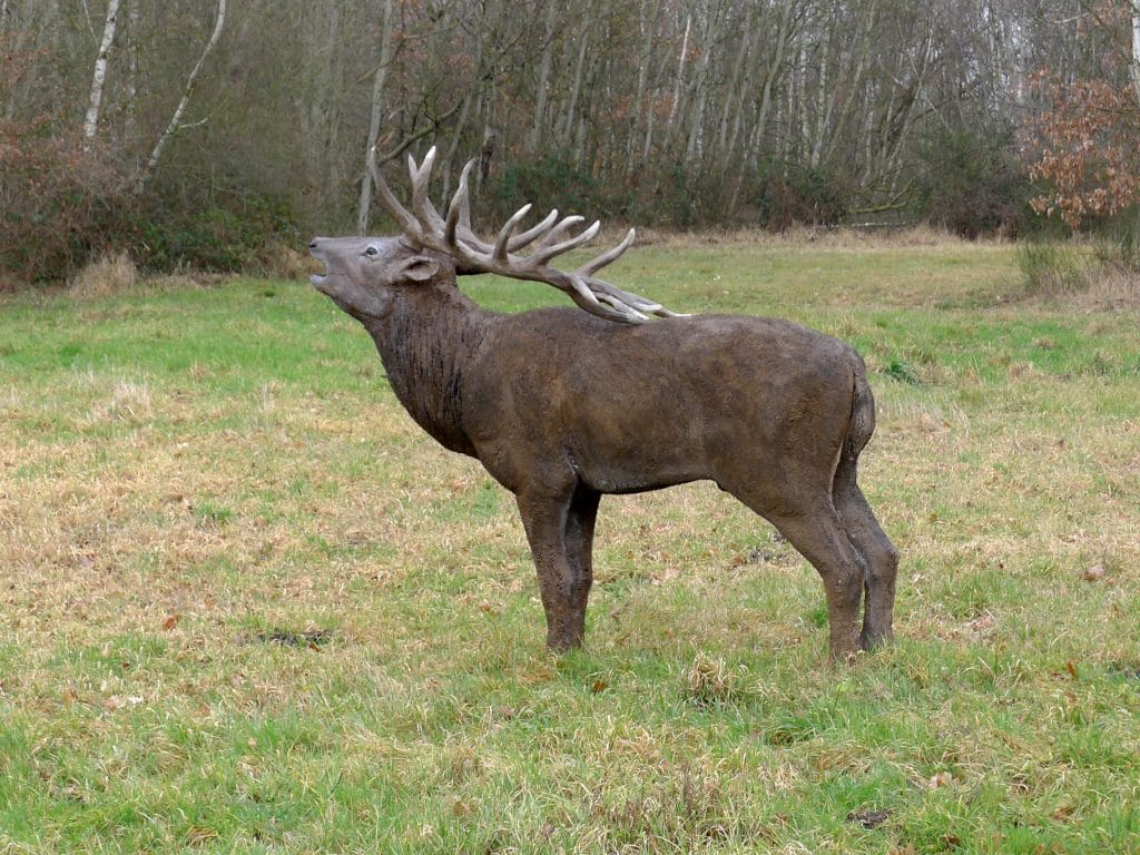 Wolfgang Herbst: 3D-Tiere für Bogensport, Dekoration, Werbung - tier.art
