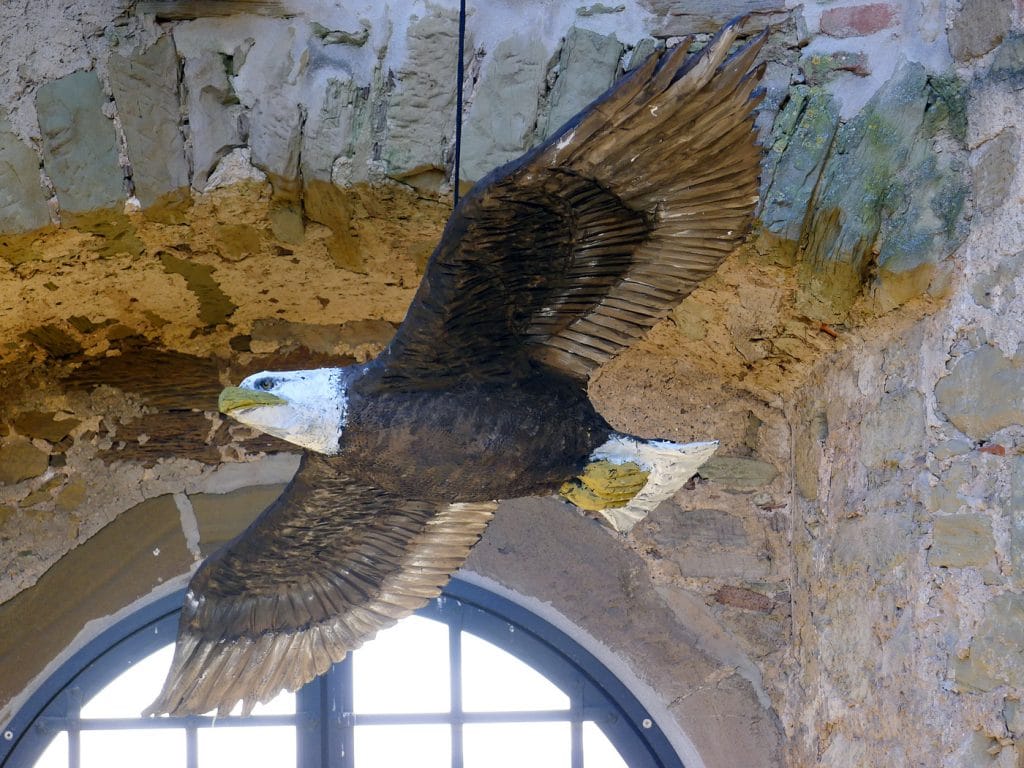 Wolfgang Herbst: 3D-Tiere für Bogensport, Dekoration, Werbung - tier.art