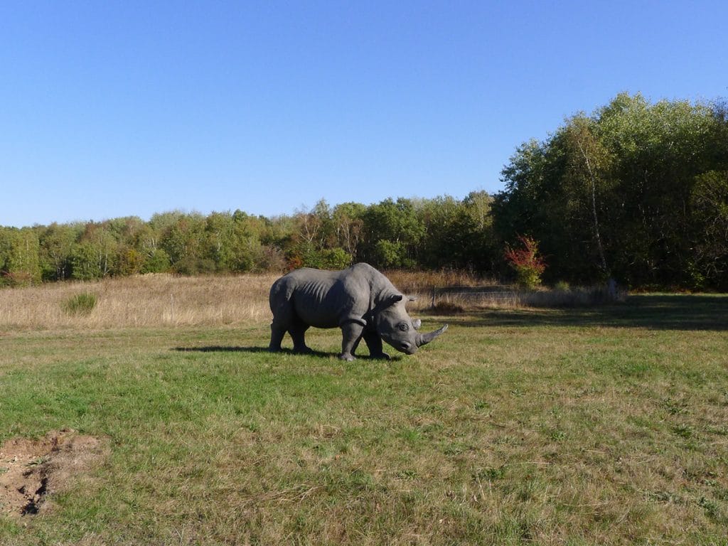 Wolfgang Herbst: 3D-Tiere für Bogensport, Dekoration, Werbung - tier.art - Nashorn 0160