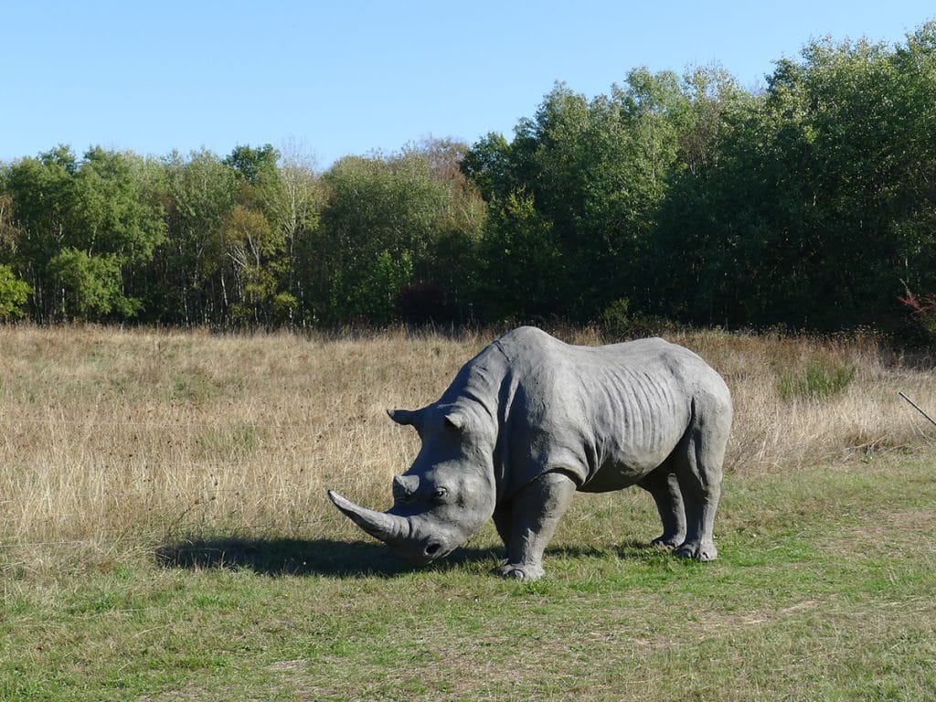 Wolfgang Herbst: 3D-Tiere für Bogensport, Dekoration, Werbung - tier.art - Nashorn 0160