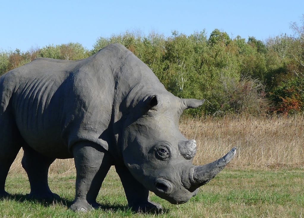 Wolfgang Herbst: 3D-Tiere für Bogensport, Dekoration, Werbung - tier.art - Nashorn 0160