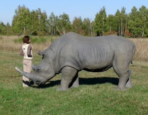 Wolfgang Herbst: 3D-Tiere für Bogensport, Dekoration, Werbung - tier.art Nashorn-0160